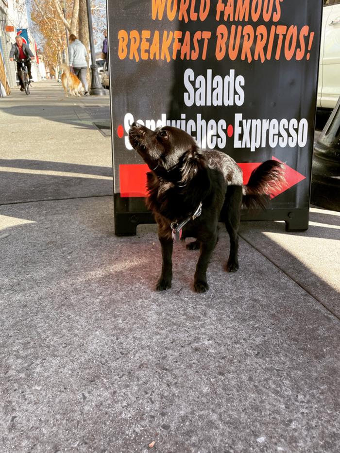 Cafe Rosalena - San Jose, CA