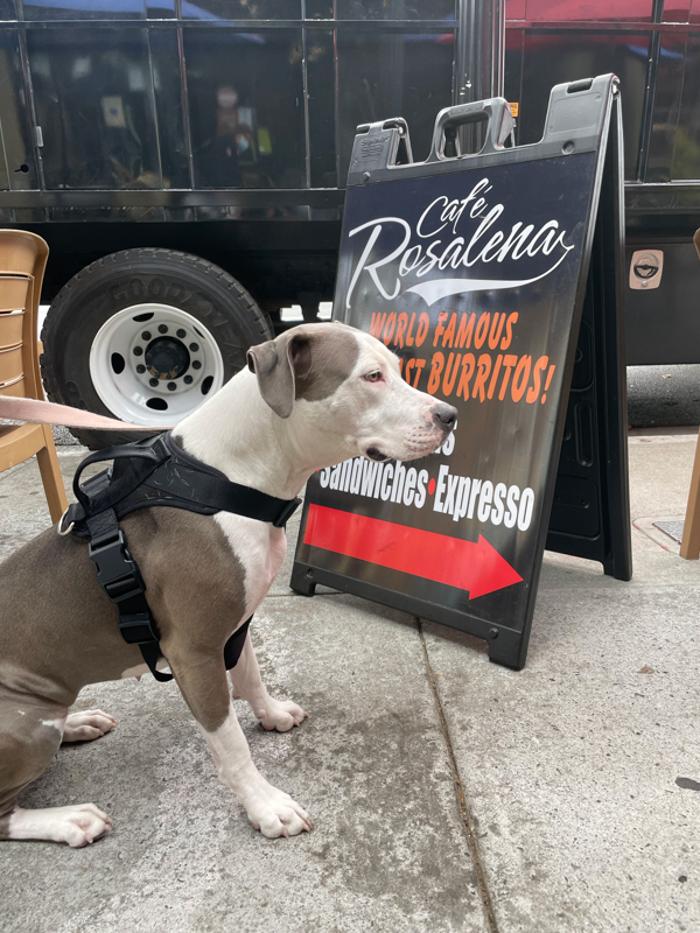 Cafe Rosalena - San Jose, CA