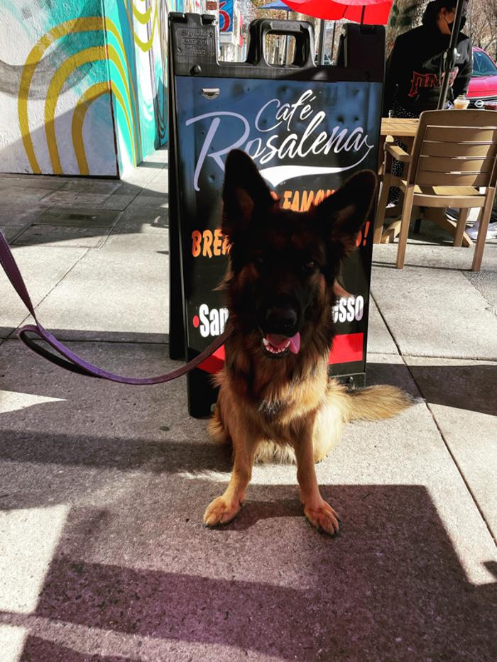 Cafe Rosalena - San Jose, CA