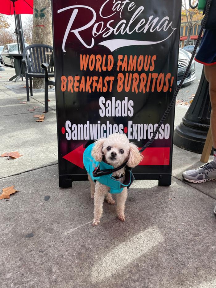 Cafe Rosalena - San Jose, CA