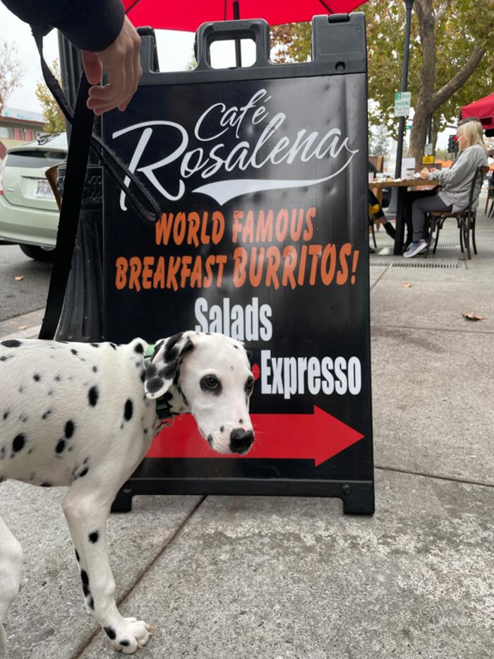 Cafe Rosalena - San Jose, CA