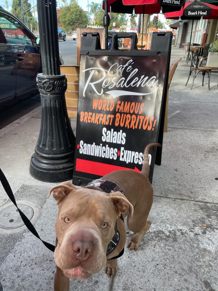 Cafe Rosalena - San Jose, CA