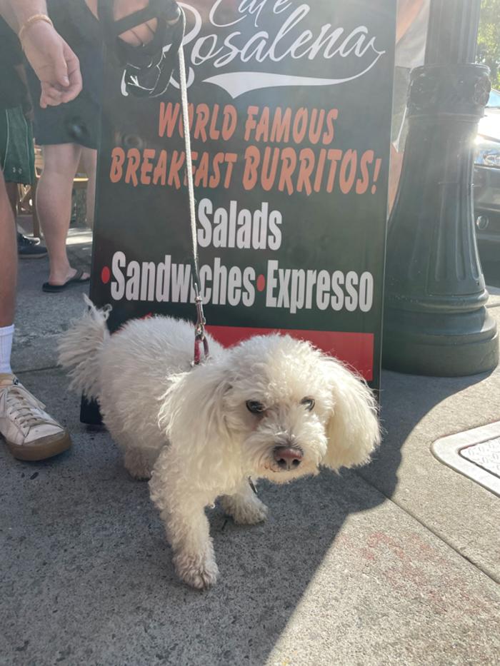 Cafe Rosalena - San Jose, CA