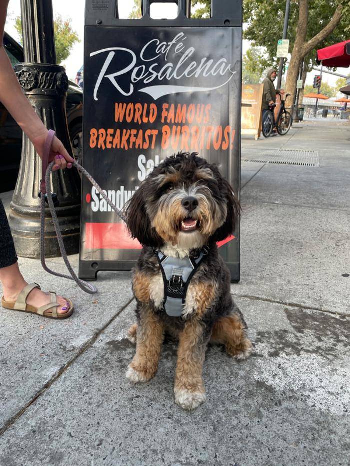 Cafe Rosalena - San Jose, CA