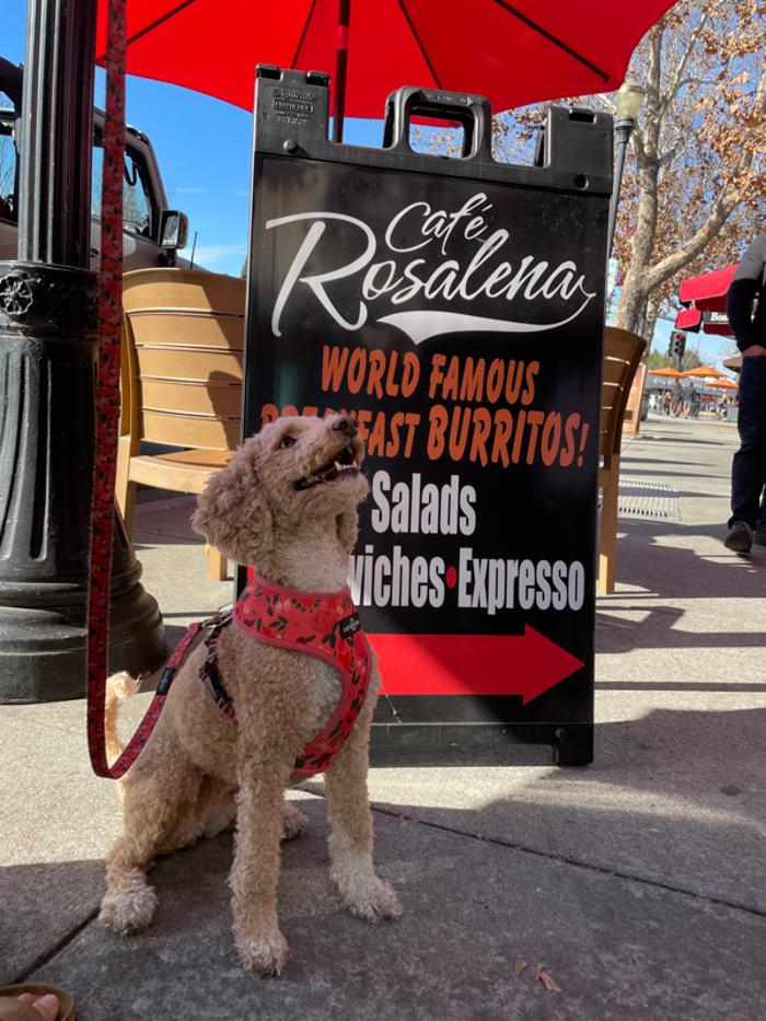 Cafe Rosalena - San Jose, CA