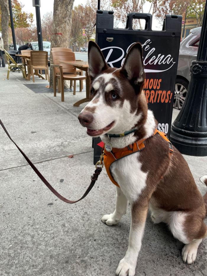 Cafe Rosalena - San Jose, CA