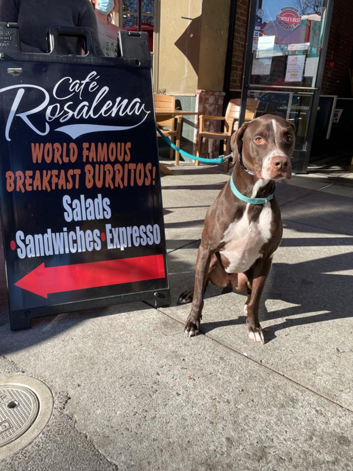 Cafe Rosalena - San Jose, CA