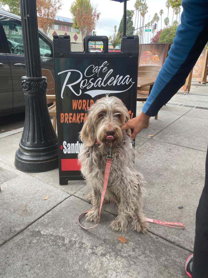 Cafe Rosalena - San Jose, CA