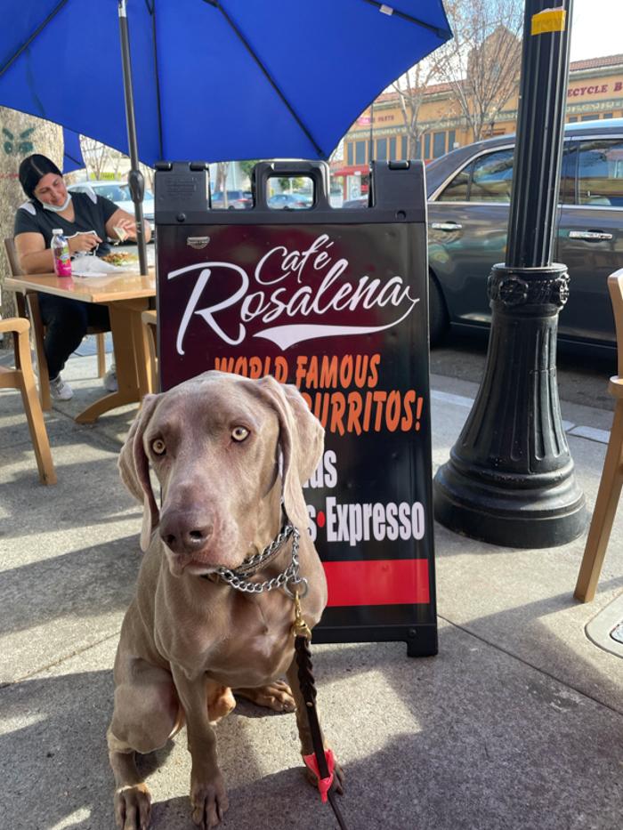 Cafe Rosalena - San Jose, CA