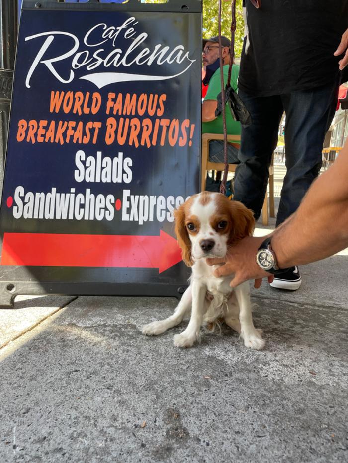 Cafe Rosalena - San Jose, CA