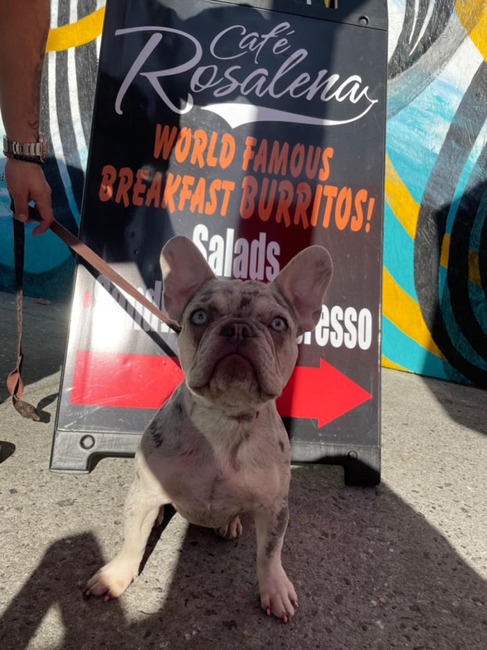 Cafe Rosalena - San Jose, CA