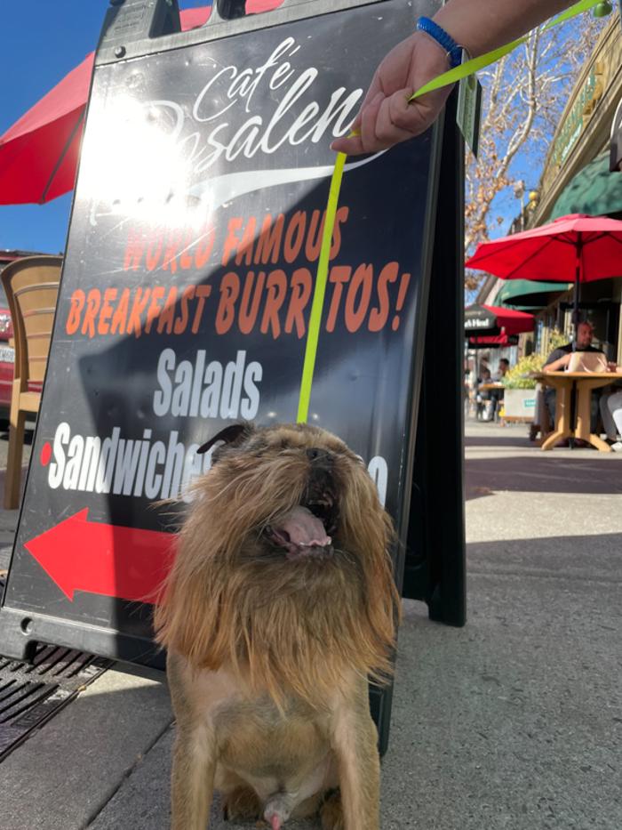 Cafe Rosalena - San Jose, CA