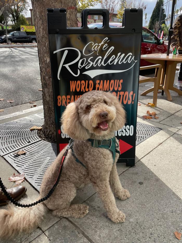 Cafe Rosalena - San Jose, CA