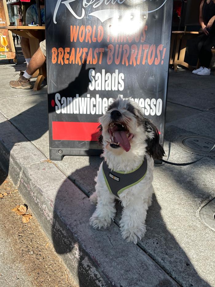 Cafe Rosalena - San Jose, CA