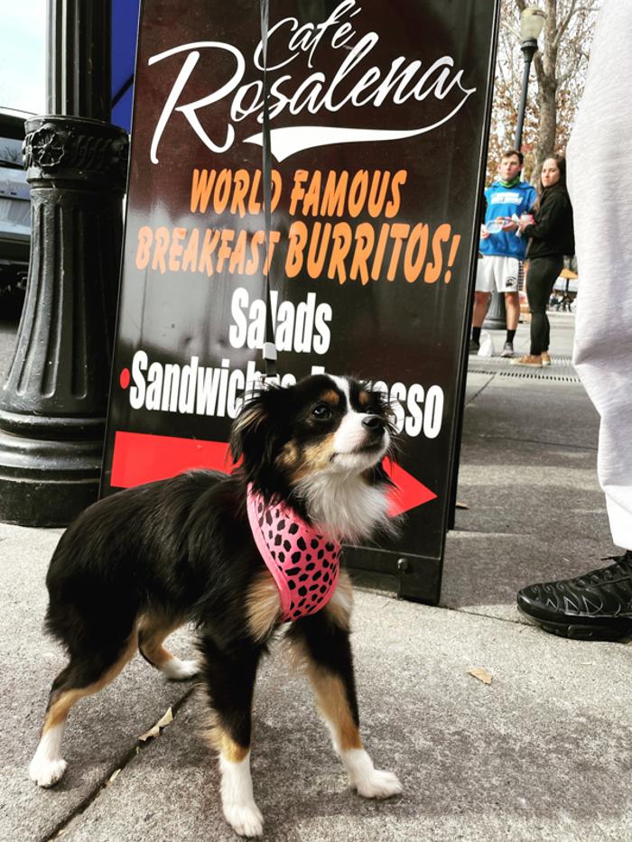 Cafe Rosalena - San Jose, CA