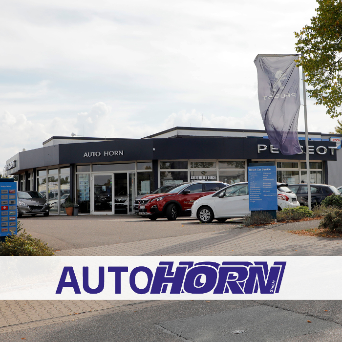 Bild zu Auto Horn GmbH in Chemnitz Bild zu Auto Horn GmbH in Chemnitz
