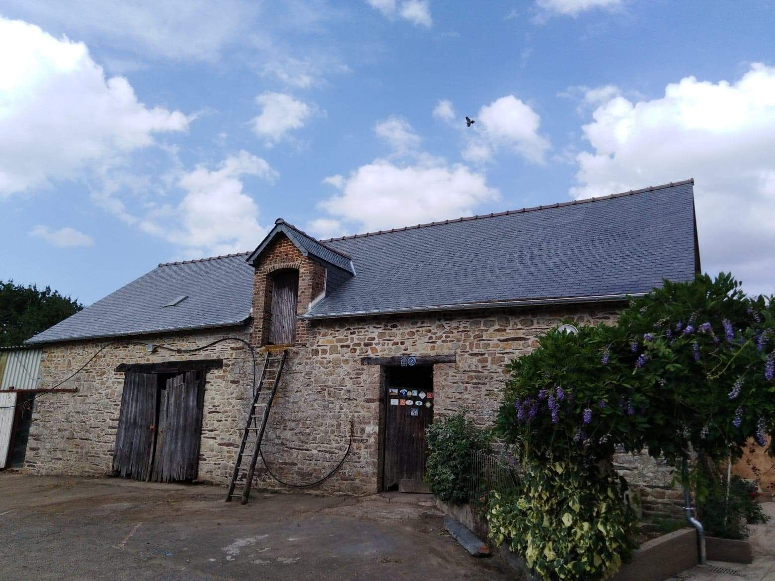 galerie image