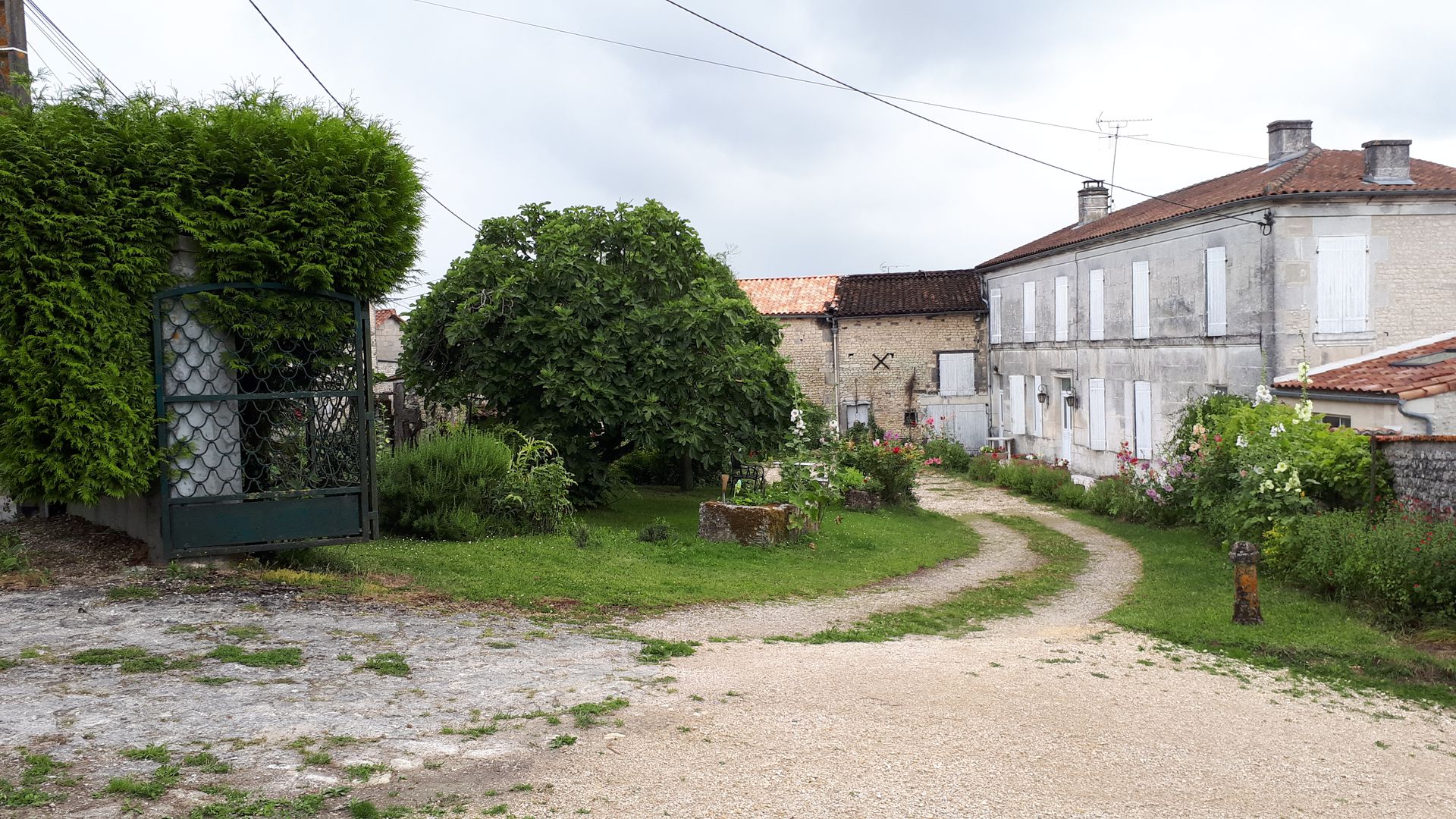 galerie image
