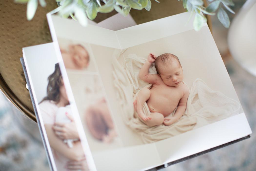 Ashley Wilbur Photography - Gansevoort, NY