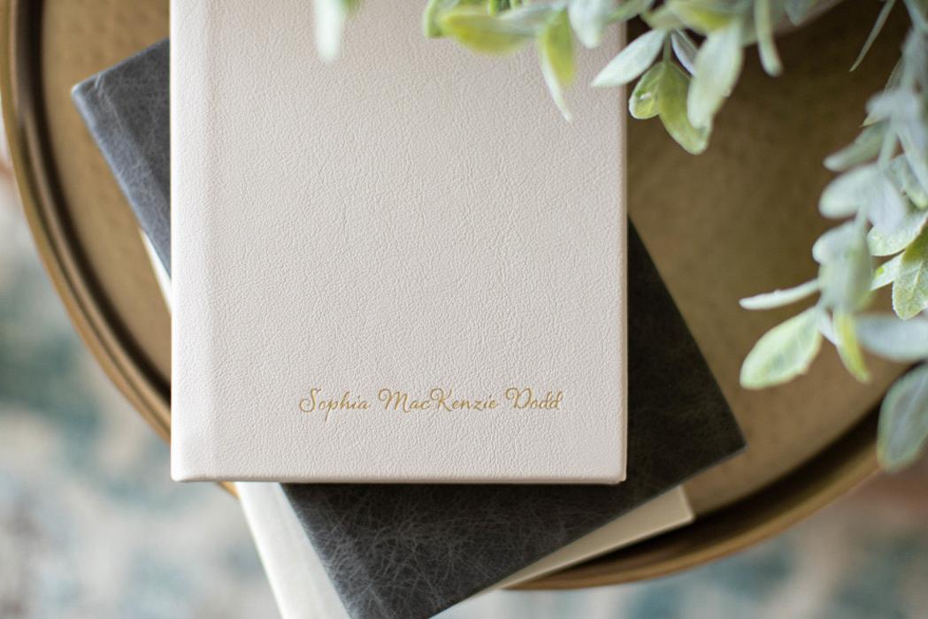 Ashley Wilbur Photography - Gansevoort, NY