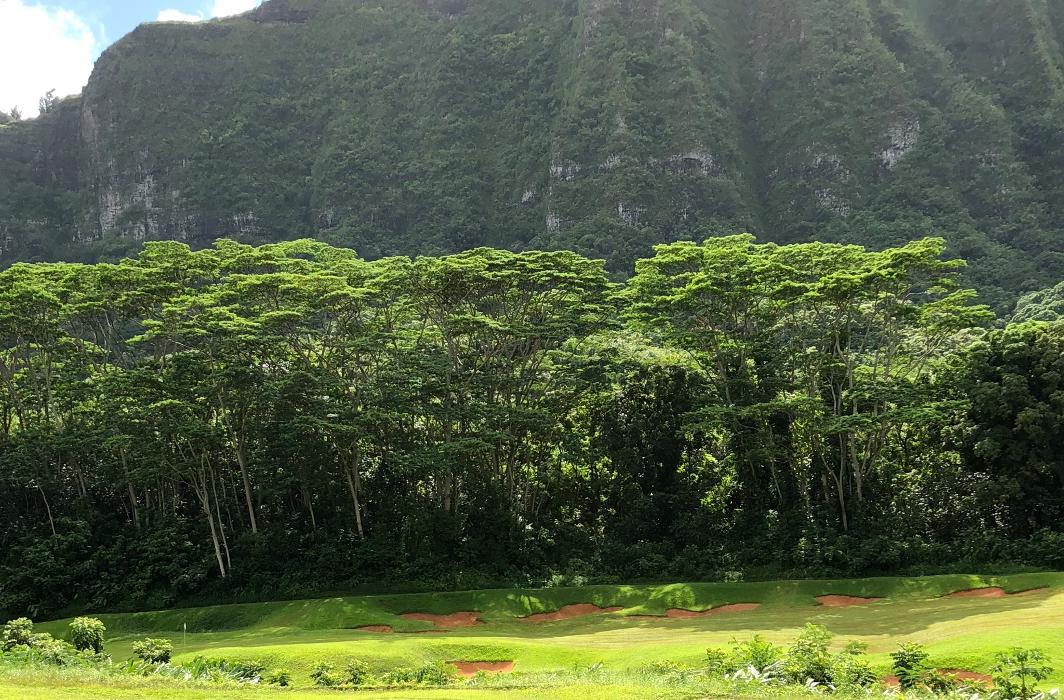 A&A Decor - Waipahu, HI