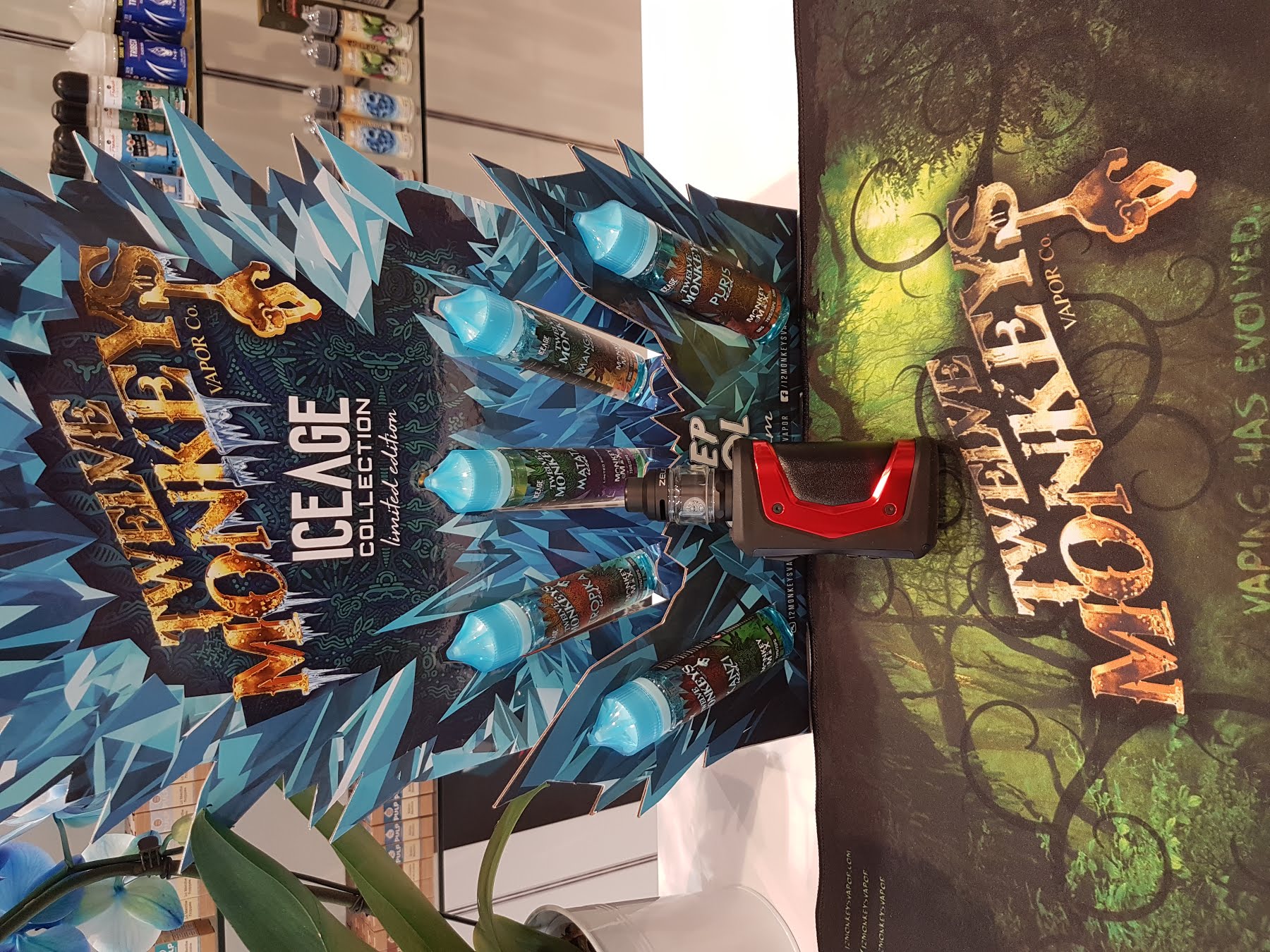 Miniature de la galerie