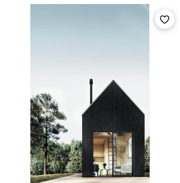 The Mountain Times Image