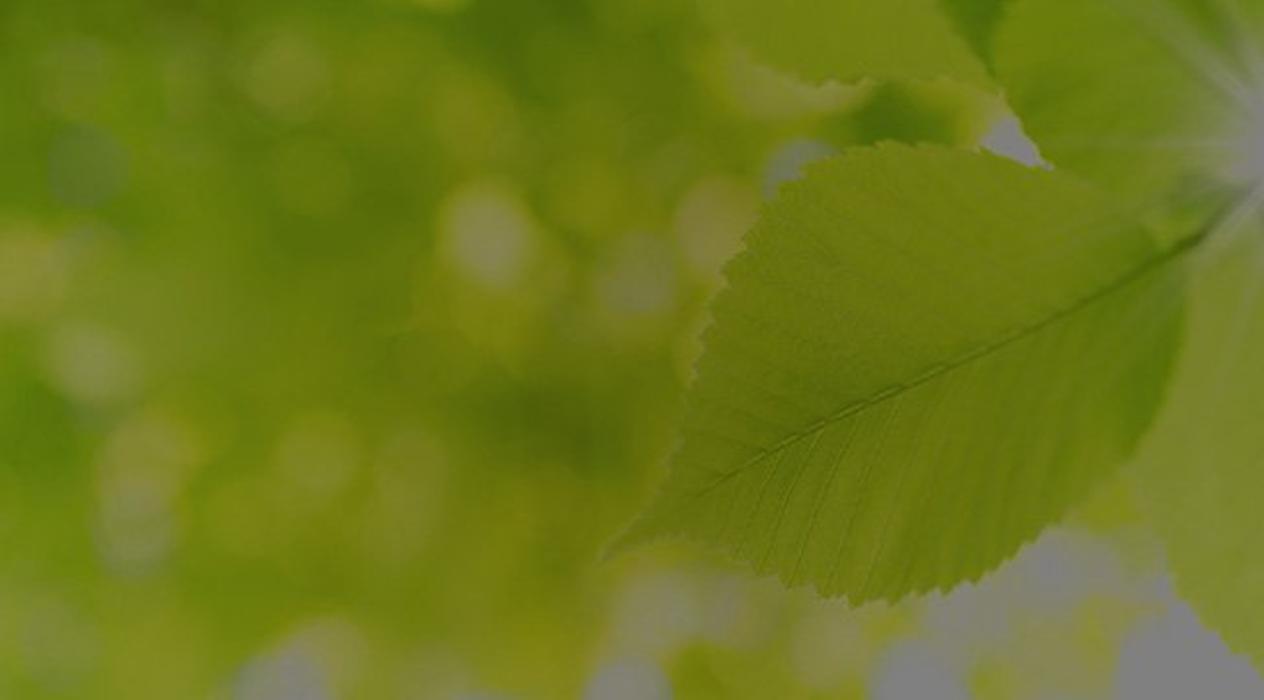 A To Z Sparkling Carpet Cleaning - Pacoima, CA