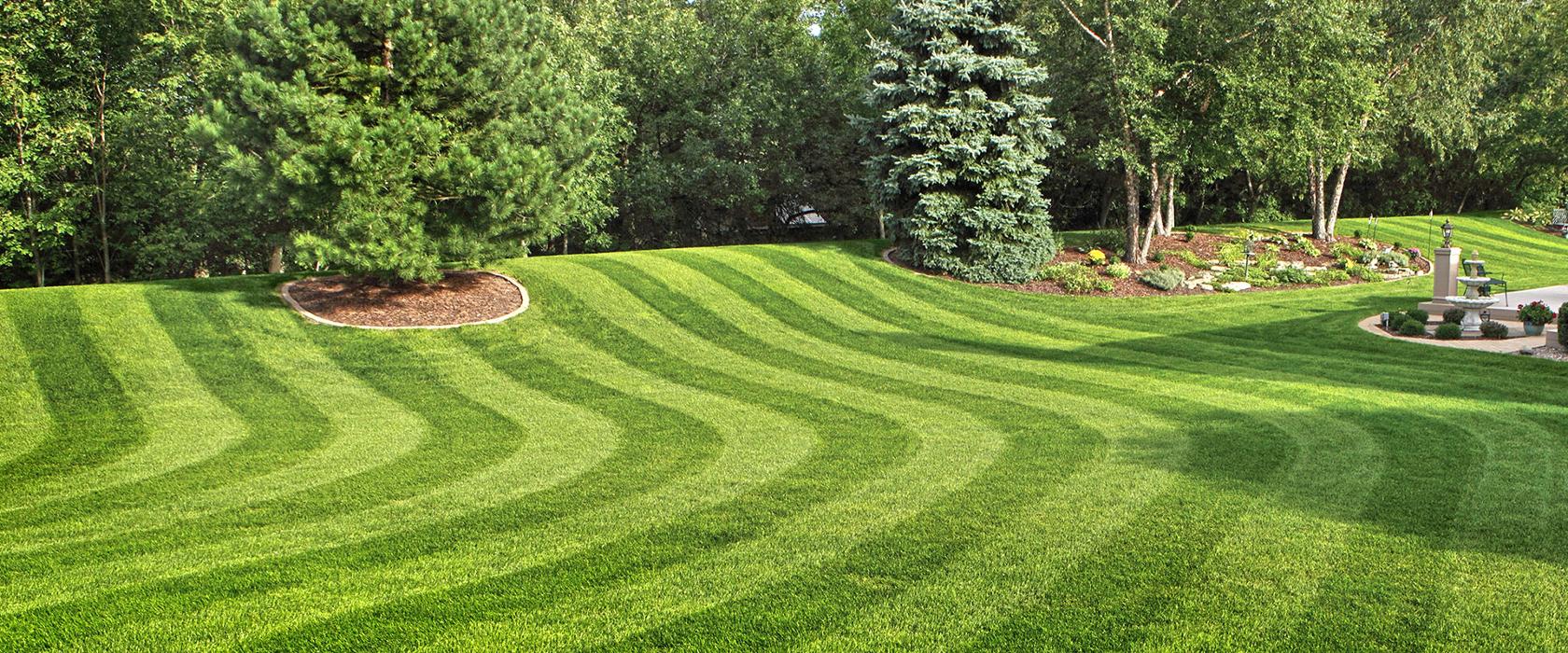 Ruven Villalva Landscaping - Cathedral City, CA