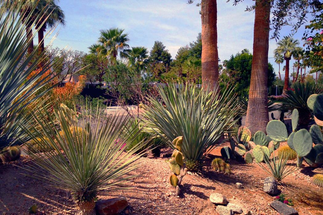 Ruven Villalva Landscaping - Cathedral City, CA