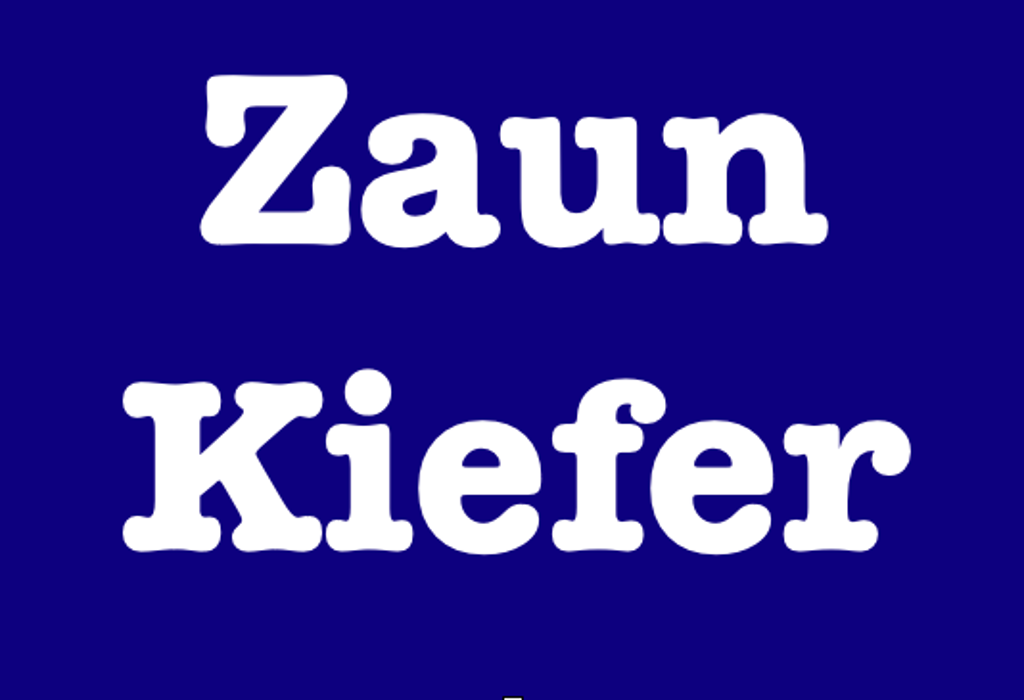 Zaun Kiefer GmbH