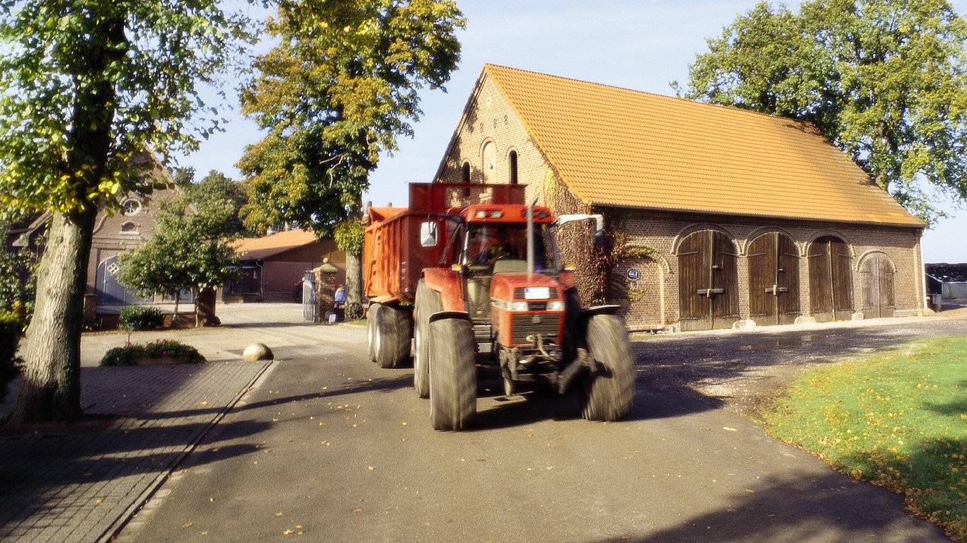 Galerie-Thumbnail