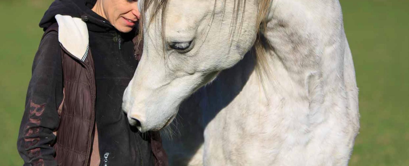 Drogerie Fischer Tiergesundheit, Mittelstrasse in Belp