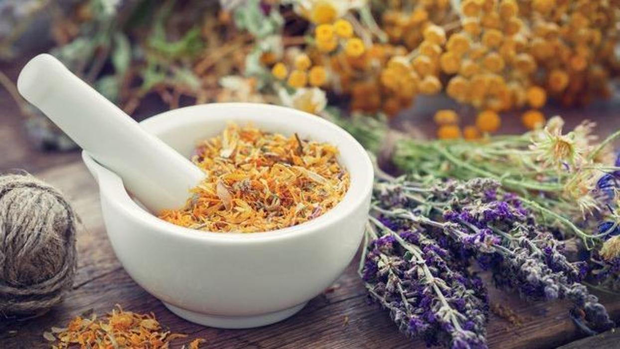 Naturheilpraxis Suwendo, Effingerstrasse in Bern