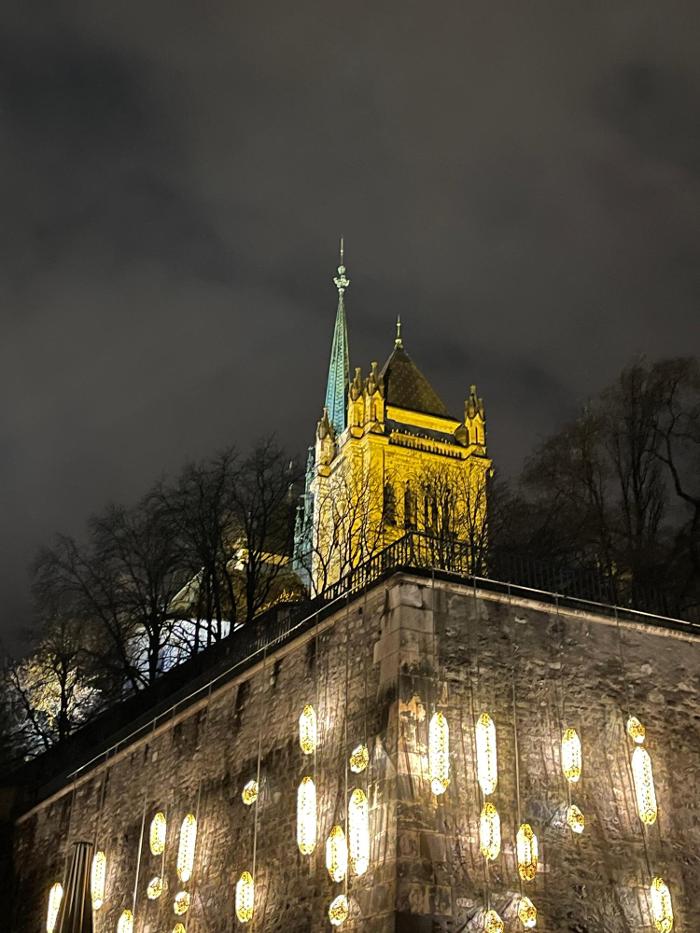 Me Corinne ROCHAT POCHELON, Rue de la Fontaine in Genève