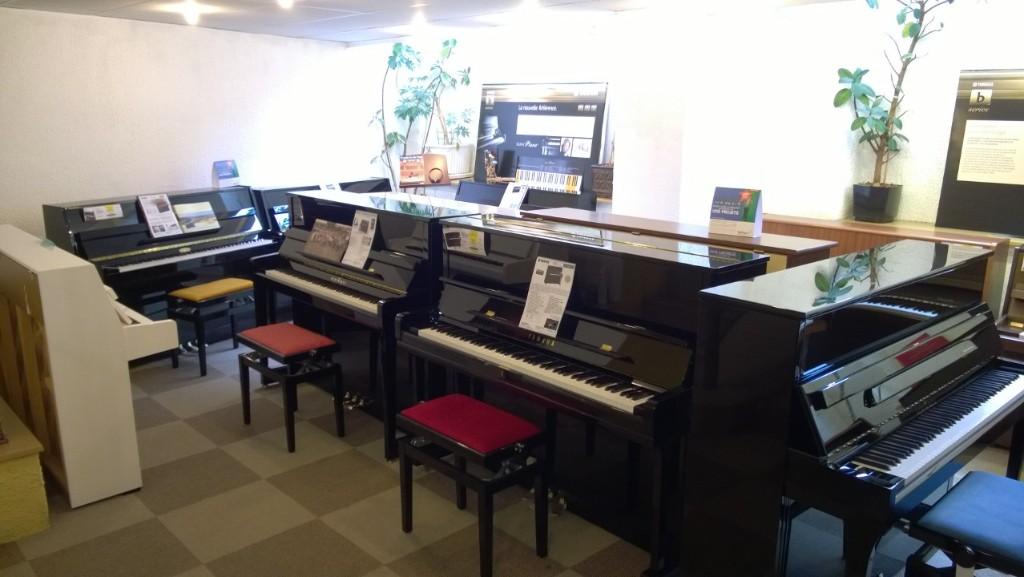 galerie image