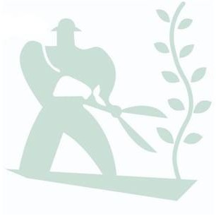 Sté Atout Vert paysagiste conseil