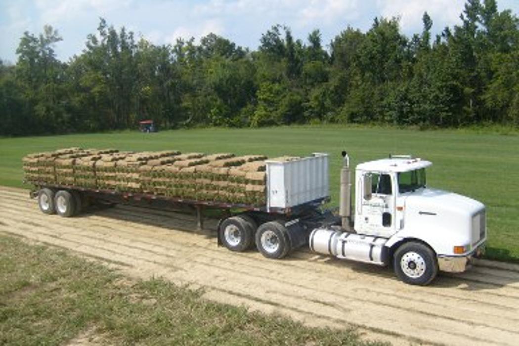 Top Notch Turf - Livermore, KY