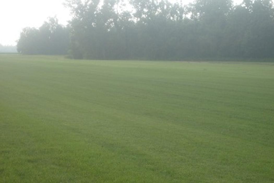 Top Notch Turf - Livermore, KY