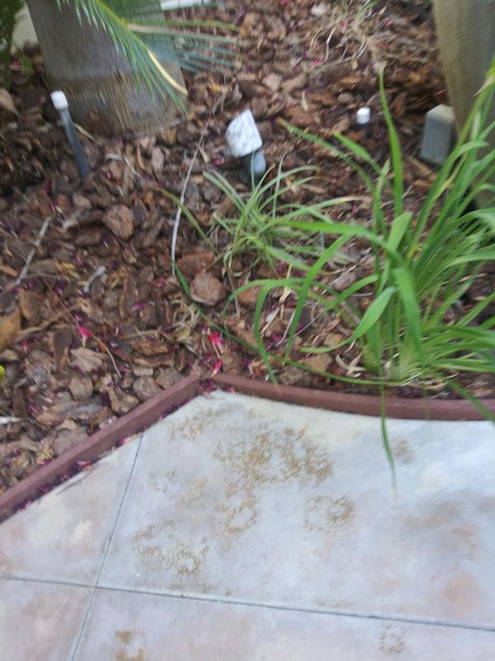 Alex Landscaping - Riverside, CA