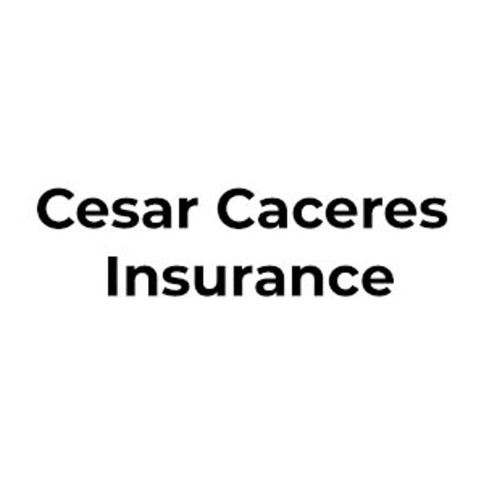 Cesar Caceres Insurance - Elsa, TX