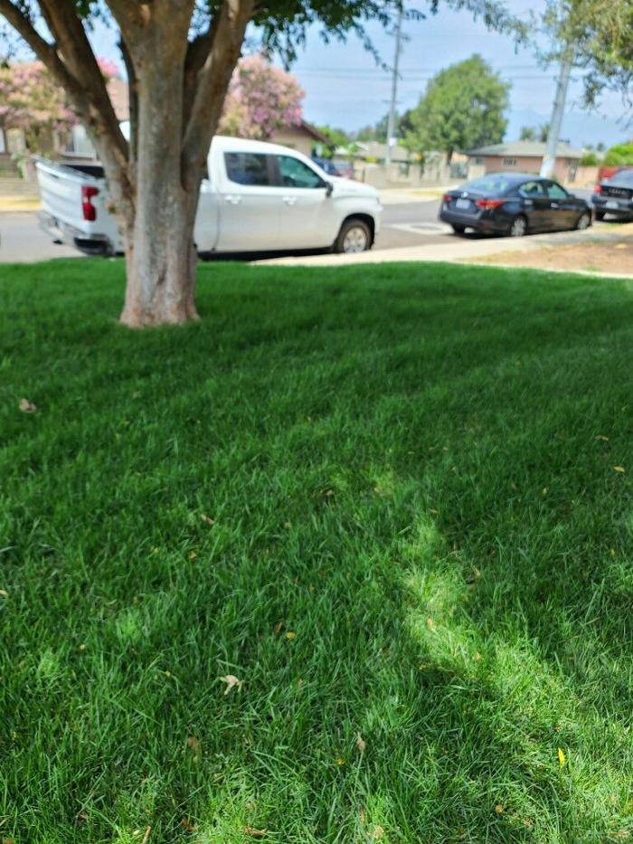 Ramon Landscaping - Rancho Cucamonga, CA