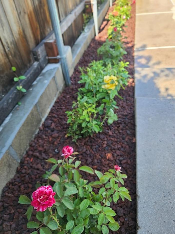 Ramon Landscaping - Rancho Cucamonga, CA