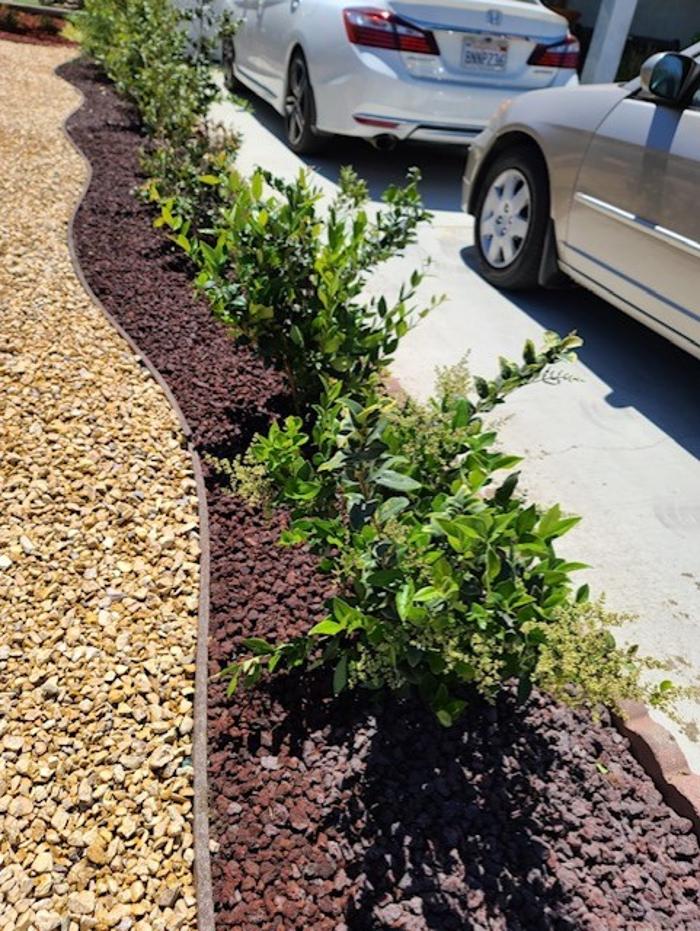 Ramon Landscaping - Rancho Cucamonga, CA