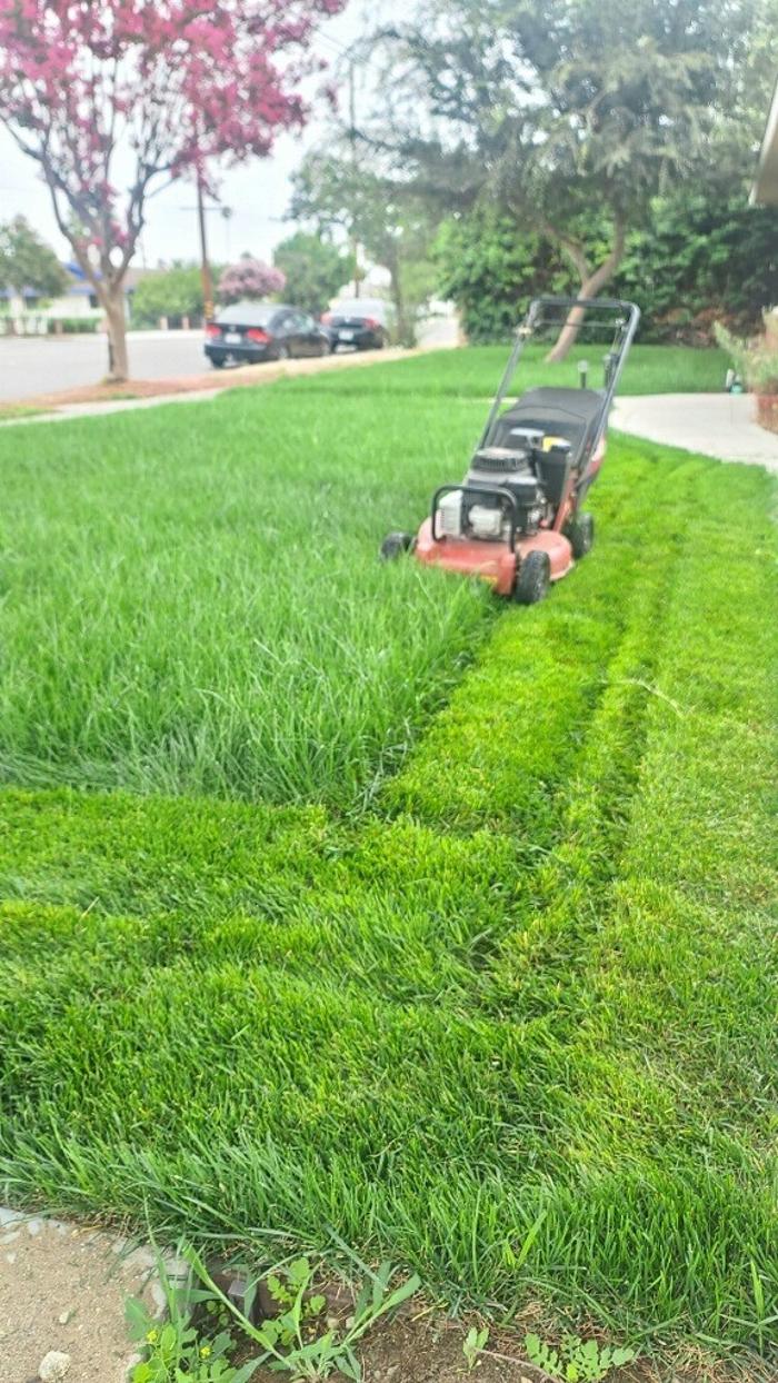 Ramon Landscaping - Rancho Cucamonga, CA