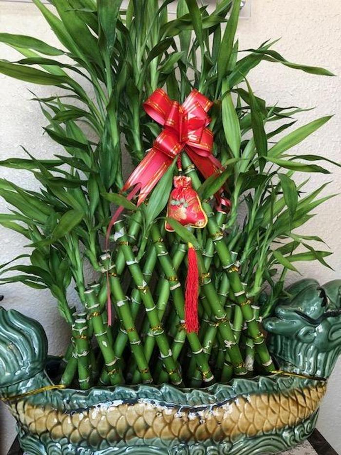 Kelly's Healing Massage - Sunnyvale, CA