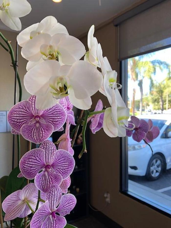 Kelly's Healing Massage - Sunnyvale, CA