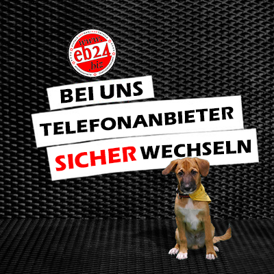 Galerie-Thumbnail