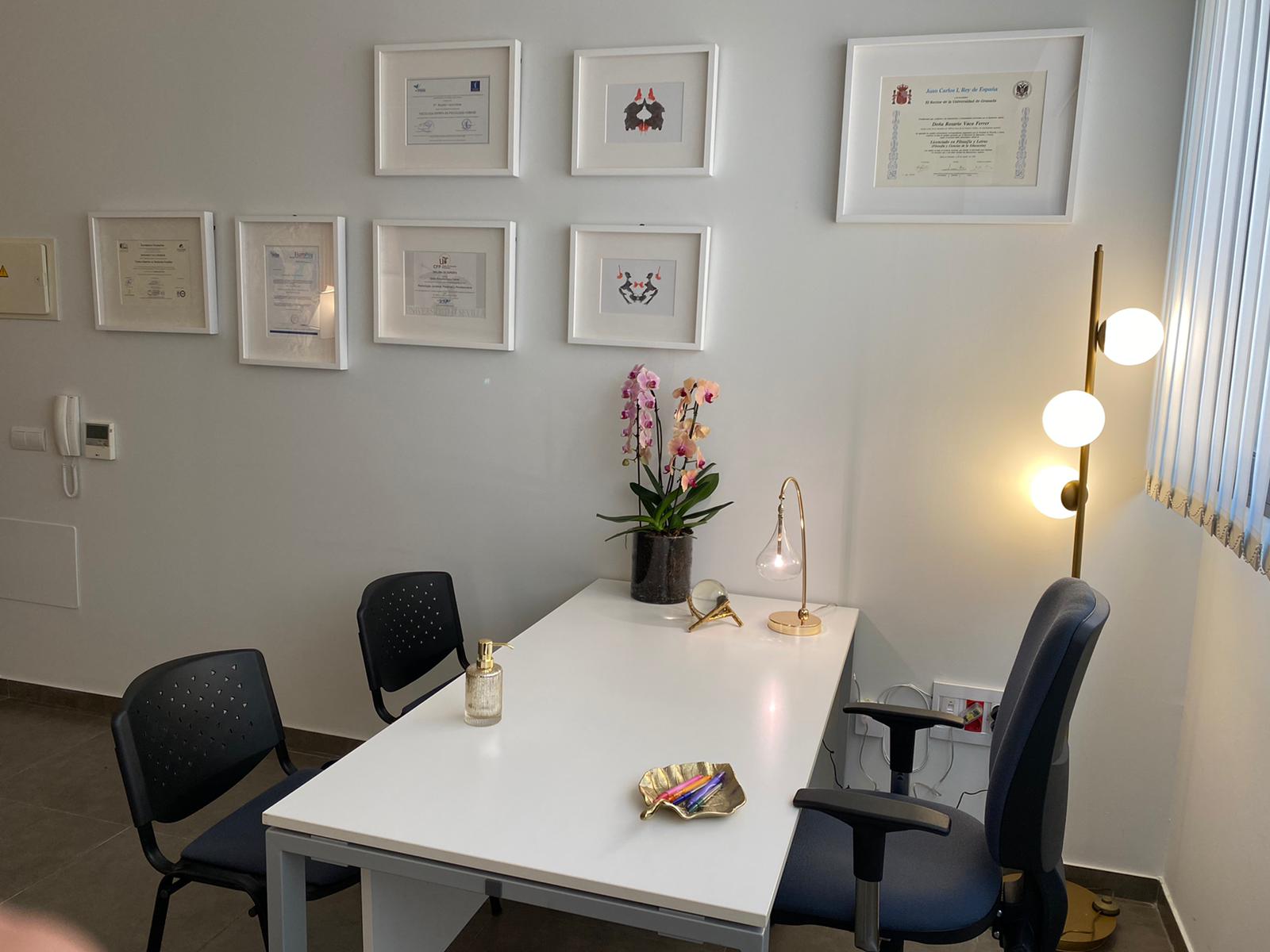 Galería en miniatura