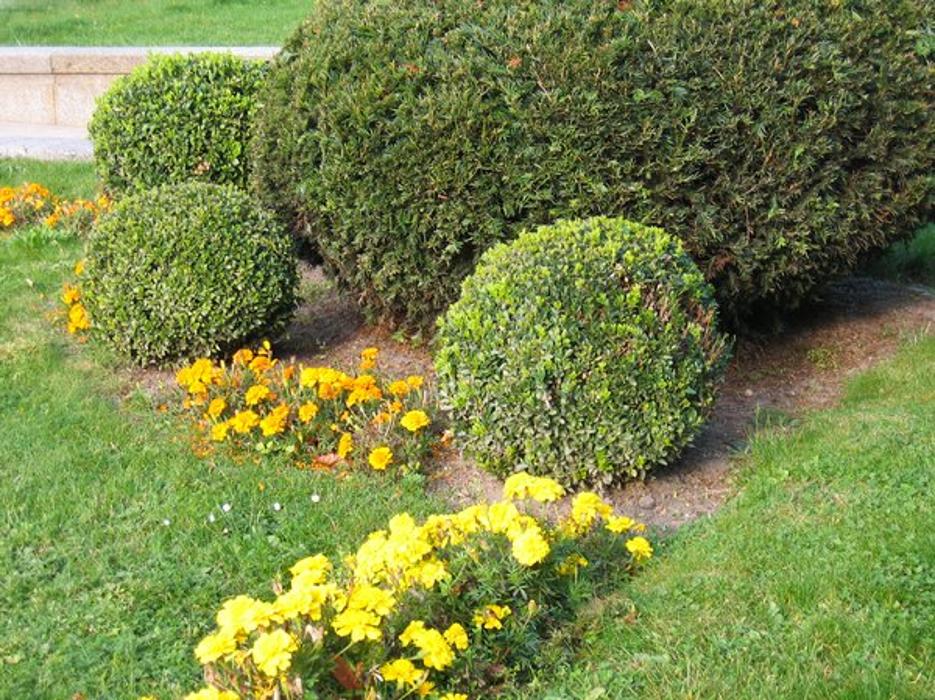 7A Renovations & Landscaping - Fayetteville, NC
